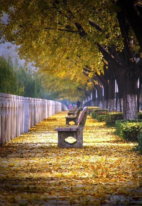 2014西南日月城_旅游攻略_门票_地址_游记点