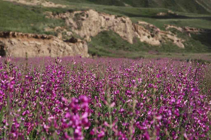 西洲都兰县热水乡-图片by雯子-旅图-去哪儿网Q