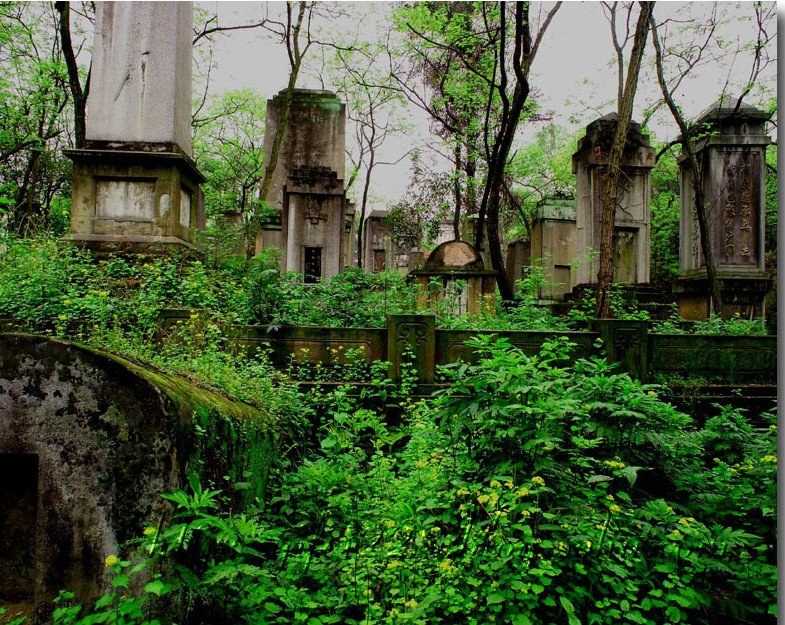 南山旅行攻略-重庆旅游攻略-去哪儿网Qunar.co