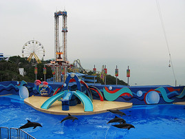 33d90f5faa86538993835fbb.jpg_r_270x202x90_bb234941.jpg