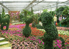 东营子玉林农业观光园