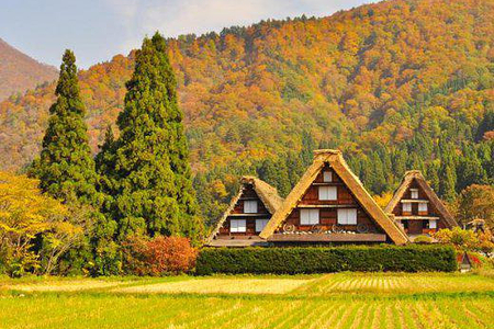 世界遗产白川乡&小京都飞驒高山 日本首屈一指的红叶名胜香岚溪