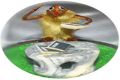 非遗零距离之毛猴