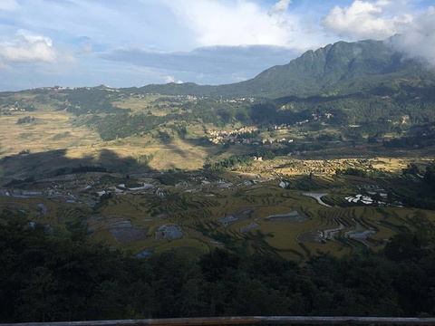 多依树梯田旅游景点攻略图