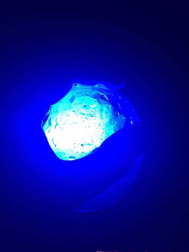 大戏台河风景区