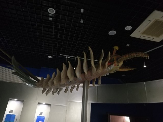 南京古生物博物馆