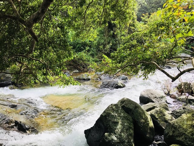 "景色着实优美，坐车至观景平台，正对五指山，蓝天白云青山绿水相互辉映_五指山水满河热带雨林风景区"的评论图片