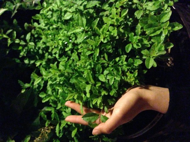 大红门国际会展中心温泉