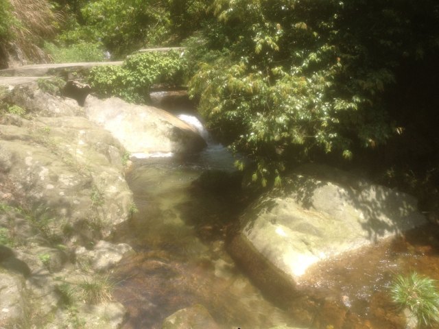 东安舜皇山国家森林公园