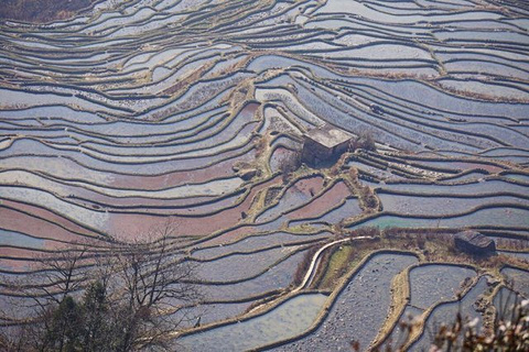 坝达景区旅游景点攻略图