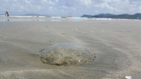 上川岛飞沙滩旅游度假区旅游景点攻略图