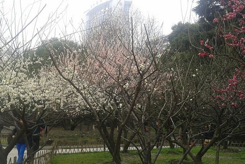 中山公园旅游景点攻略图