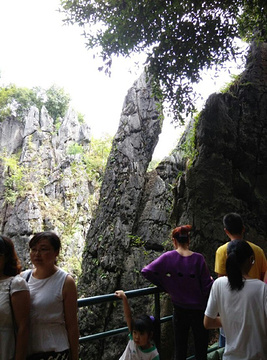 鳞隐石林旅游景点攻略图