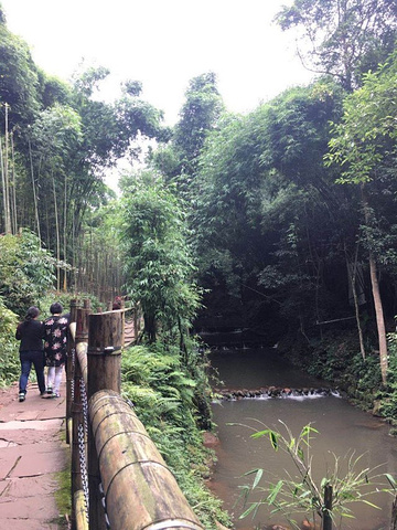 "_川西竹海景区"的评论图片