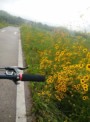 "_龙池山"的评论图片