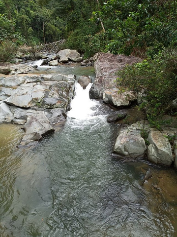 "_五指山水满河热带雨林风景区"的评论图片