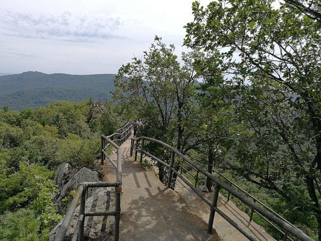 鸡冠山森林公园