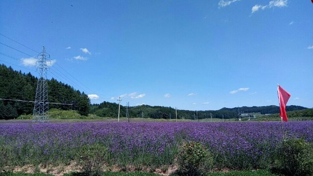 清原满族自治县文化旅游和广播电视局
