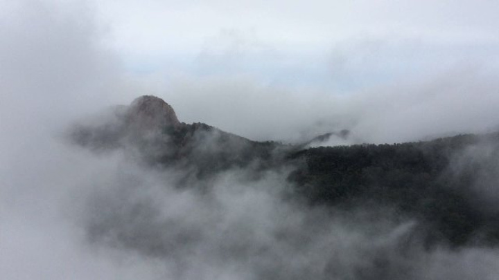 "_沂蒙山旅游区沂山景区"的评论图片