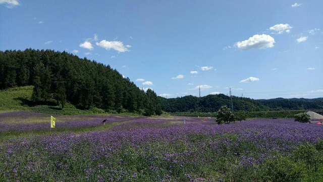 清原满族自治县文化旅游和广播电视局