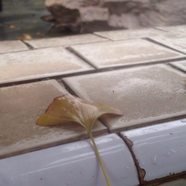 启明星温泉度假区