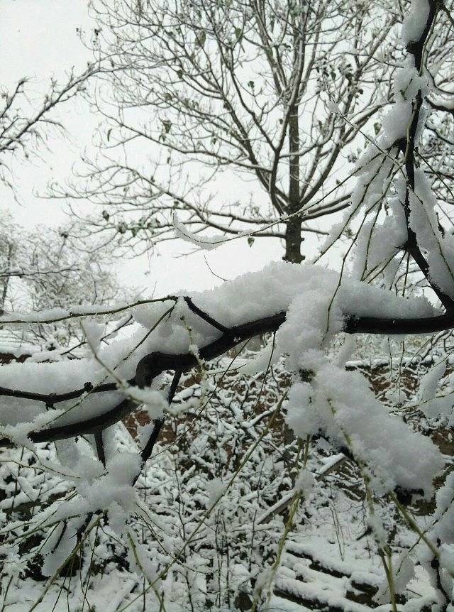 青山秀水旅游度假区