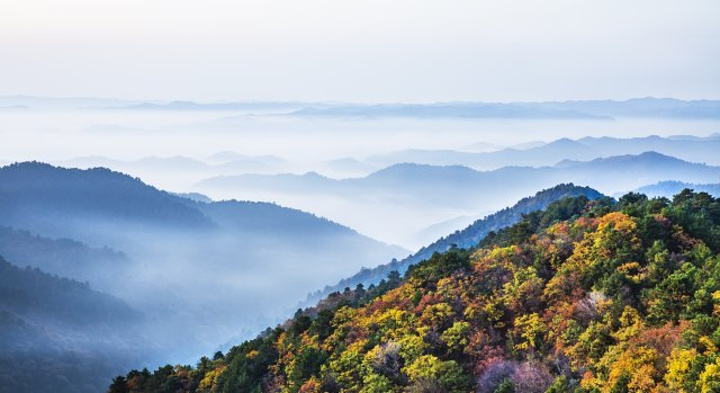 "陕北难得的一片绿洲，森林覆盖率98%，原始森林有山有水，非常适合休闲度假_陕西黄陵国家森林公园"的评论图片