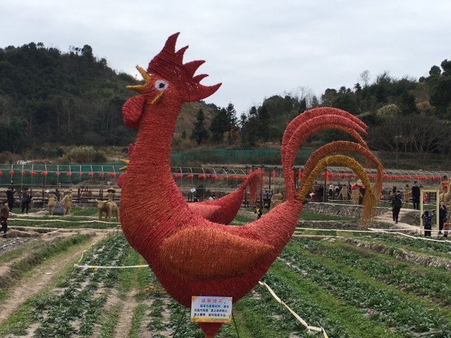 筋竹涧农业观光园