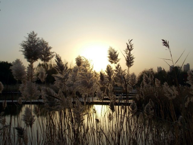 长白岛森林公园