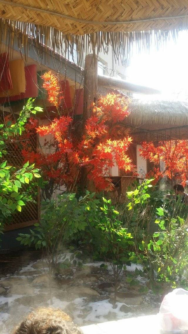 鞍山温泉印象体验馆