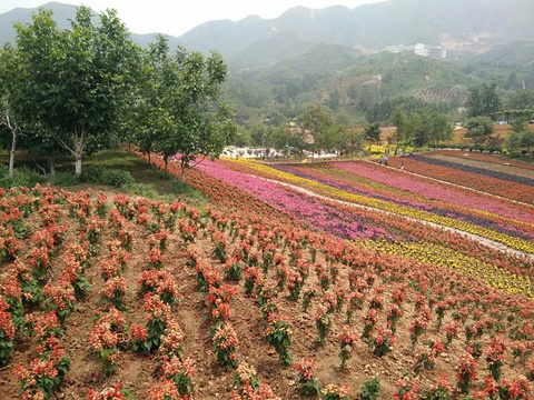 西部长青旅游景点攻略图