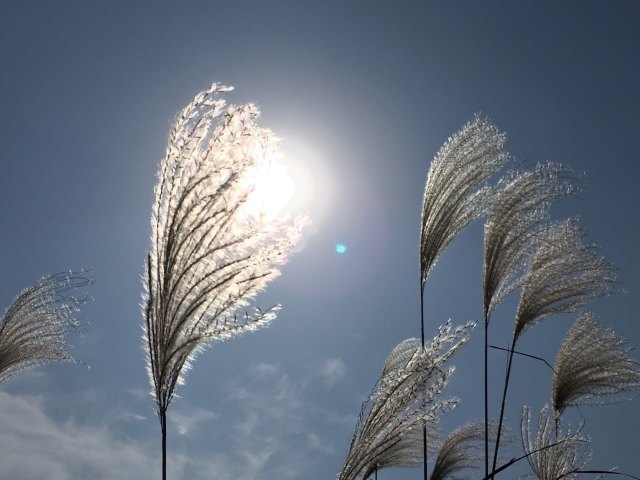 黄柏山国家森林公园