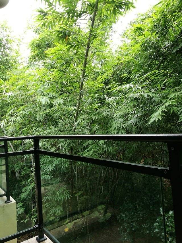 南腊河野趣营地