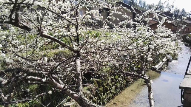 古田山自然保护区