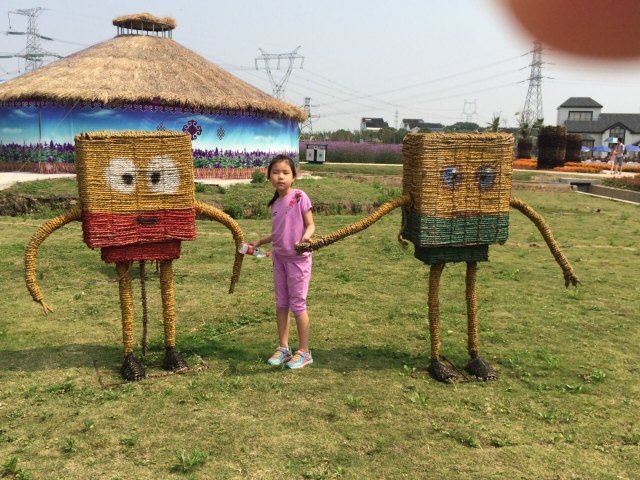 常州薰衣草庄园