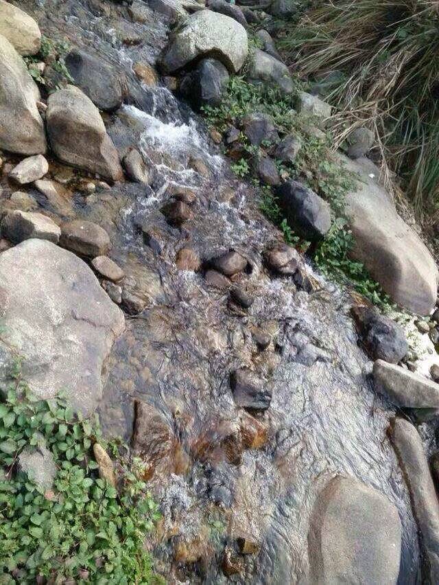 灵石山国家森林公园