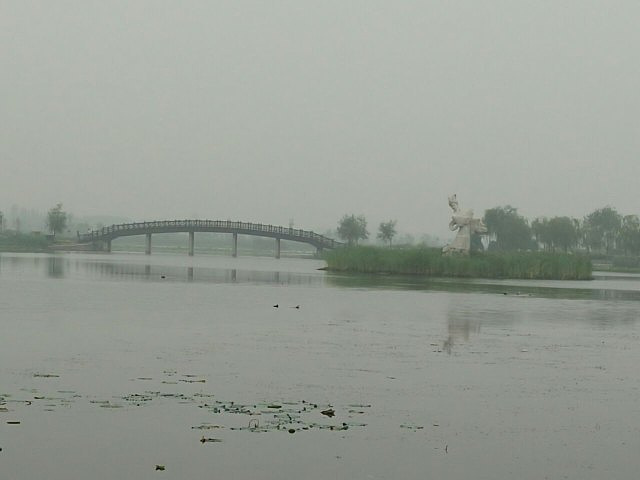 "_衡水湖旅游景区"的评论图片