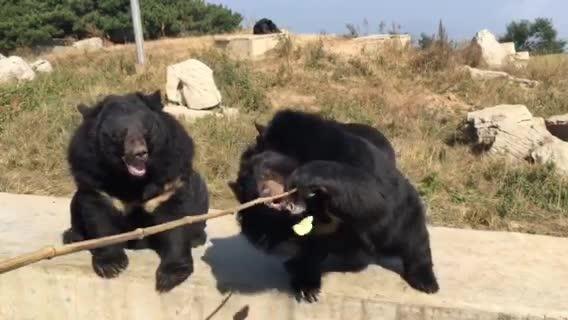 跑马岭生态休闲度假区