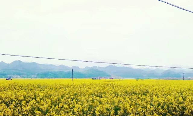 浙江开化国家公园