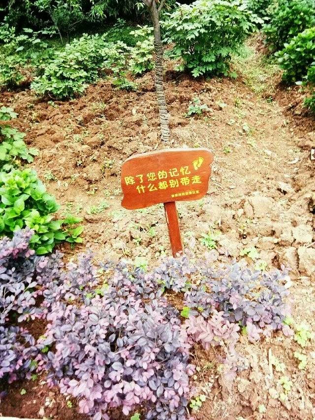 襄阳黄家湾景区