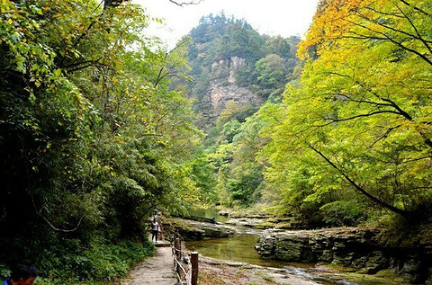黎坪森林公园旅游景点攻略图