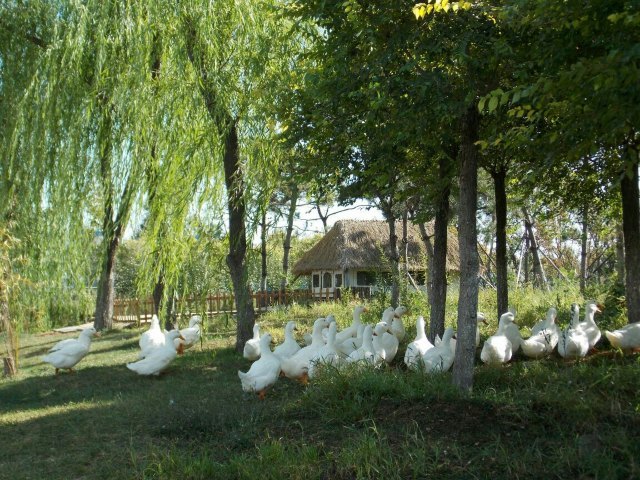 长白岛森林公园