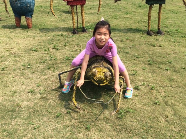 常州薰衣草庄园