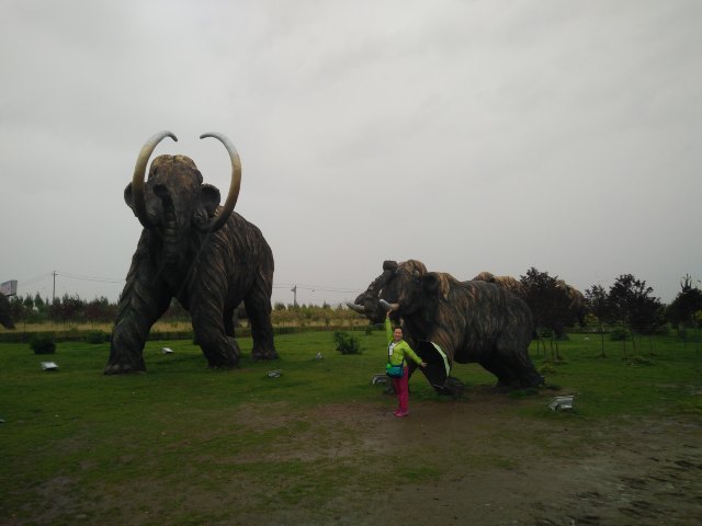 呼伦贝尔市扎赉诺尔区儿童科技馆