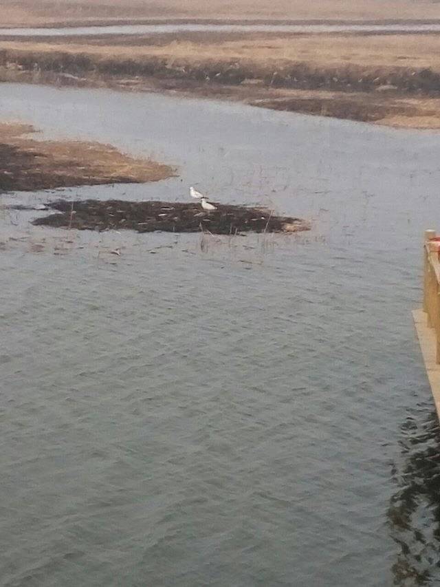 九华山温泉水城