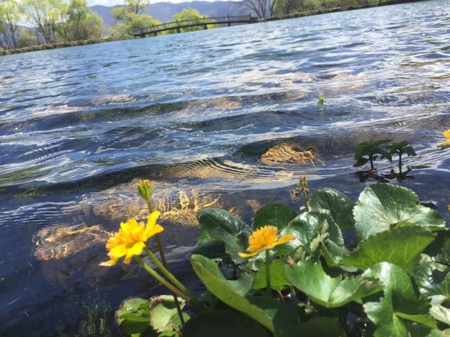 洛克旧居陈列馆
