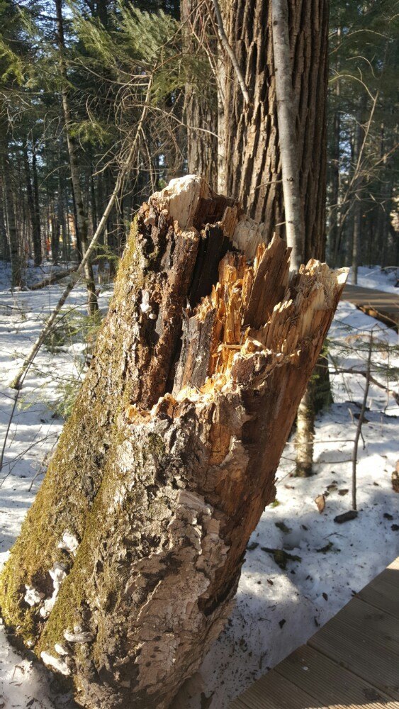 聚龙泉养生会馆