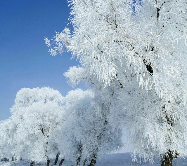 新源县那拉提国际滑雪场