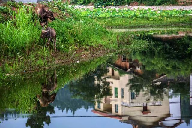 世外桃源风景区