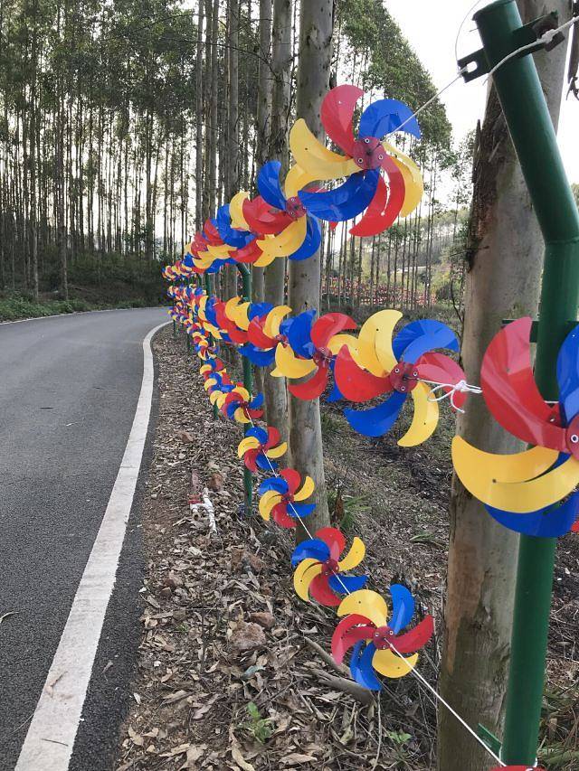 南宁花雨湖生态休闲旅游区